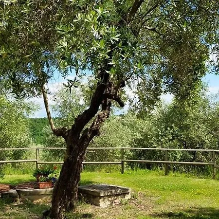 Apartment Madonna Della Sanita Sleeps 2 Pool T763612 Citta della Pieve